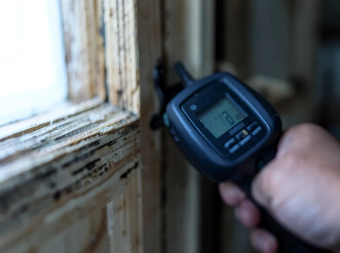 Moisture Inspection And Documentation in Westland, PA